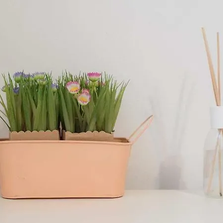 Nicolina 3 بيت ضيافة فيرناتْسا