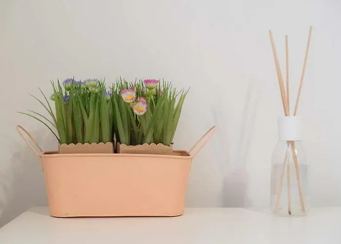 Nicolina 3 Gæstehus Vernazza